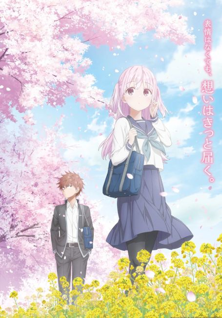 Безэмоциональная Кашивада и эмоциональный Ота / Kao ni Denai Kashiwada-san to Kao ni Deru Oota-kun