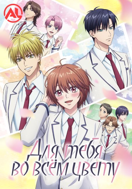 Для тебя во всём цвету / Hanazakari no Kimitachi e